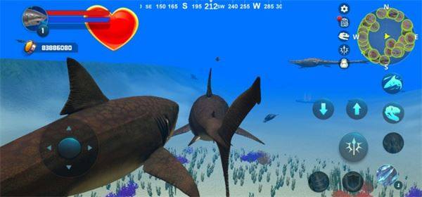 巨齿鲨模拟器最新版(Megalodon Simulator)游戏截图3